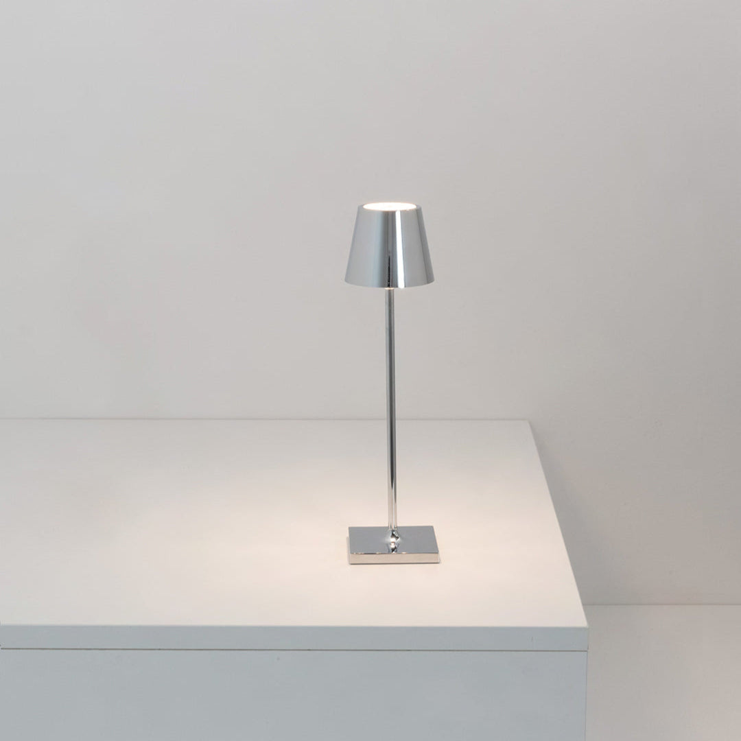 POLDINA MICRO - Gold & Silver