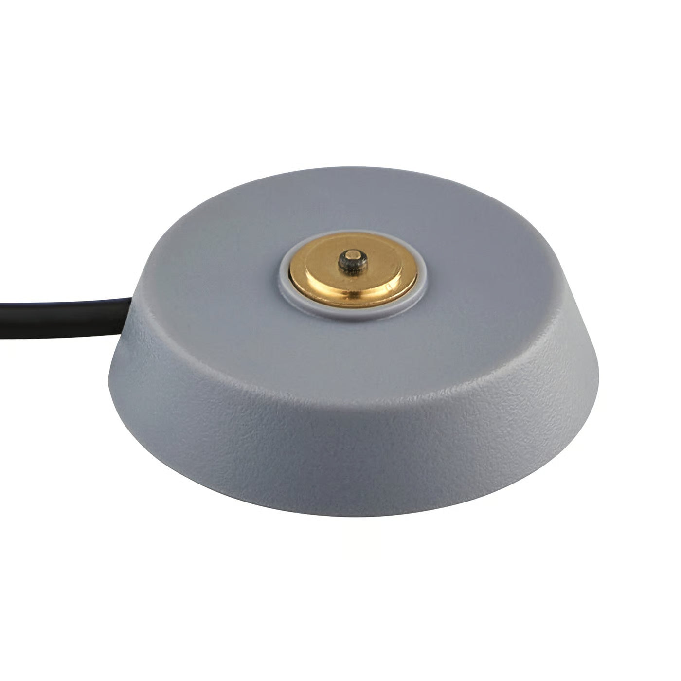 ELLEN TO GO