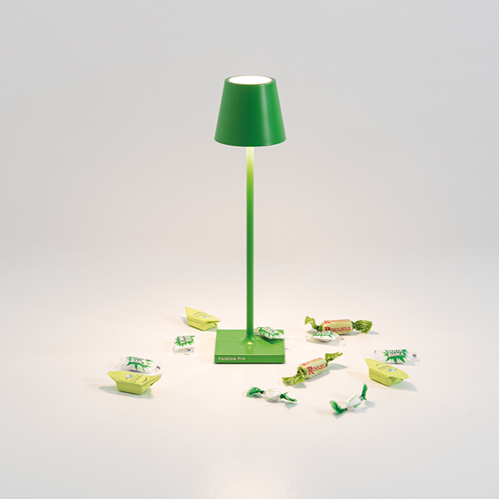 POLDINA MICRO
