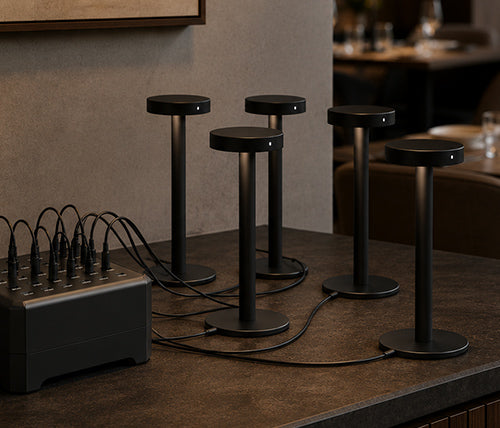 USB TYPE-C 30 PORT CHARGER