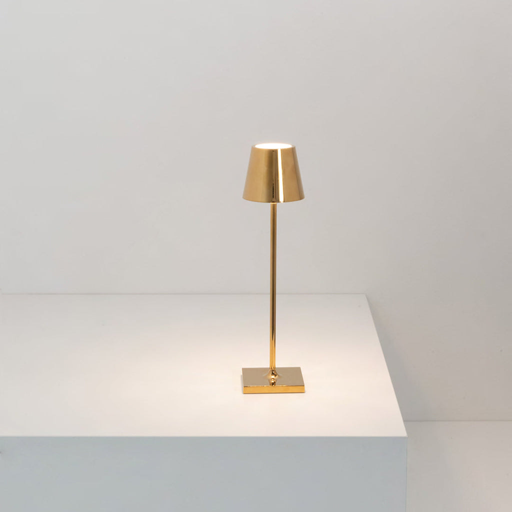 POLDINA MICRO - Gold & Silver